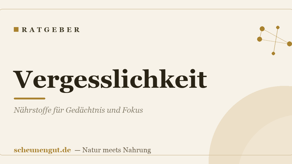 Vergesslichkeit: Nährstoffe für Gedächtnis und Fokus