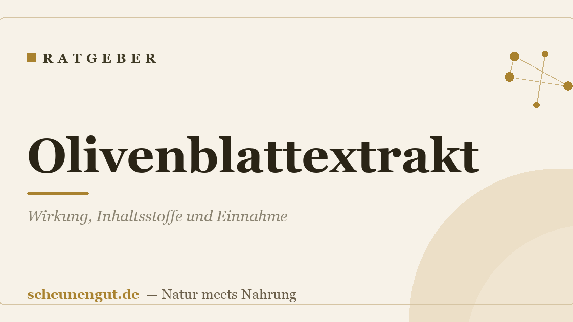 Olivenblattextrakt: Wirkung, Inhaltsstoffe und Einnahme