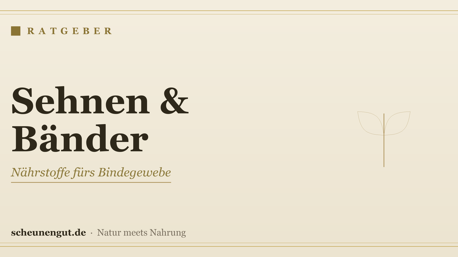 Nährstoffe für Sehnen und Bänder – Ratgeber von Scheunengut
