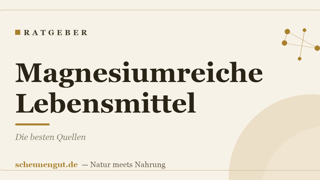 Magnesiumreiche Lebensmittel: Die besten Quellen