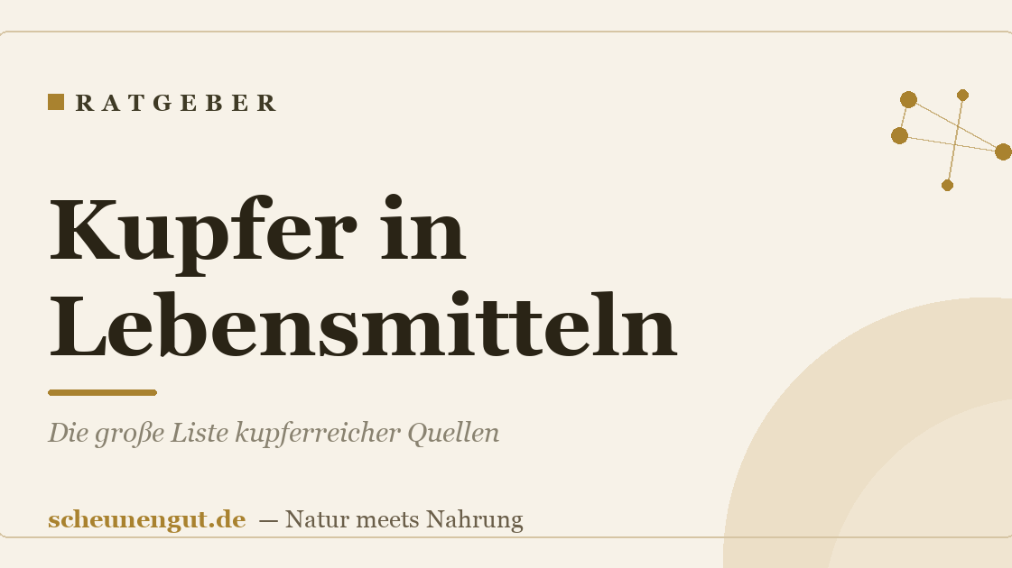 Kupfer in Lebensmitteln: Die große Liste kupferreicher Quellen