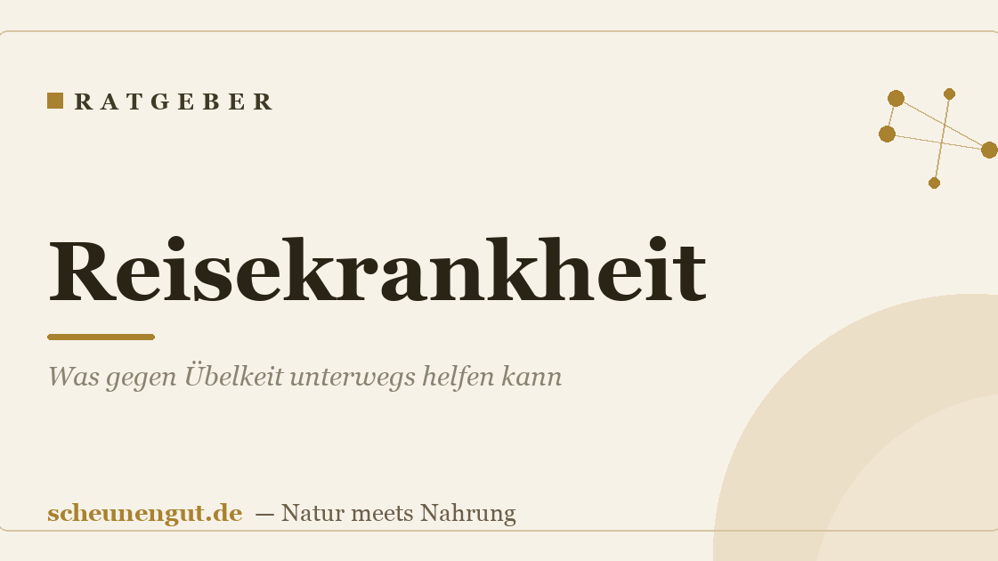 Reisekrankheit: Was gegen Übelkeit unterwegs helfen kann