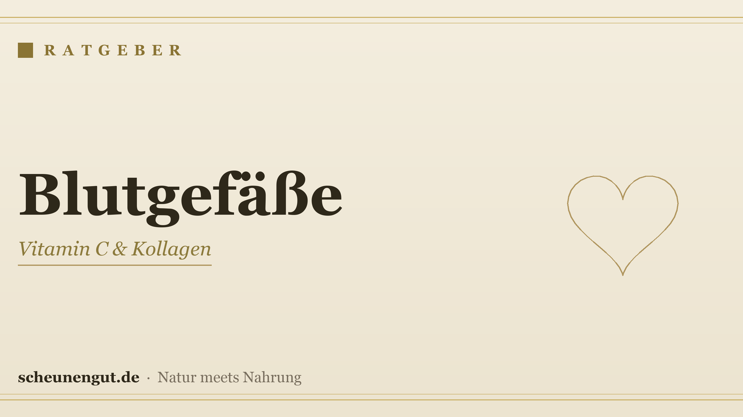Nährstoffe für normale Blutgefäße – Ratgeber von Scheunengut