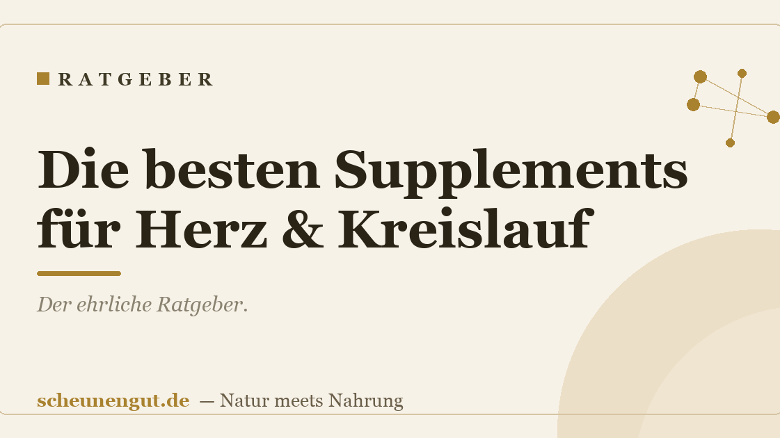 Die besten Supplements für Herz & Kreislauf