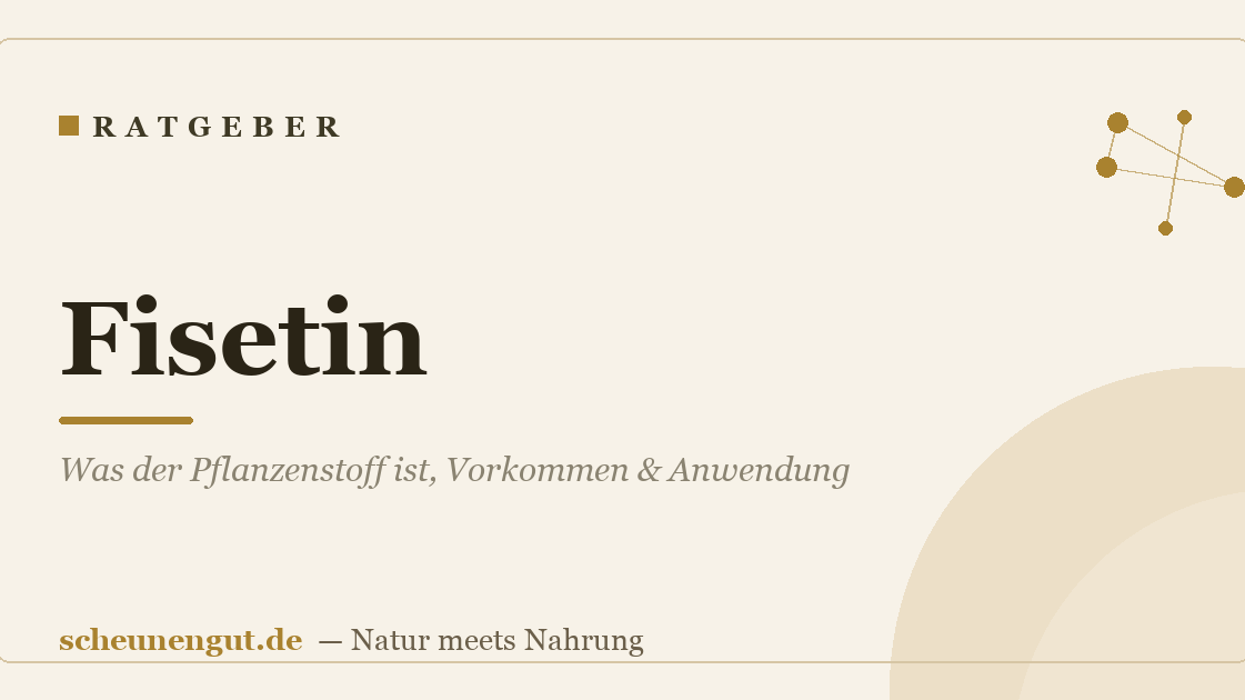 Fisetin: Was der Pflanzenstoff ist, Vorkommen & Anwendung