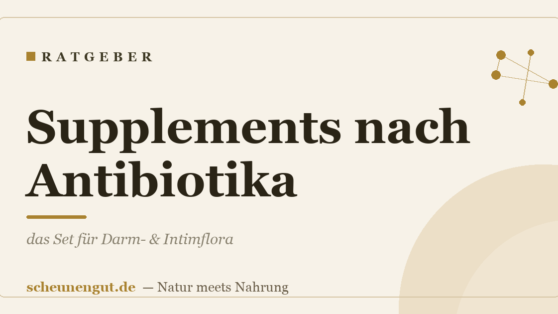 Supplements nach Antibiotika: das Set für Darm- & Intimflora