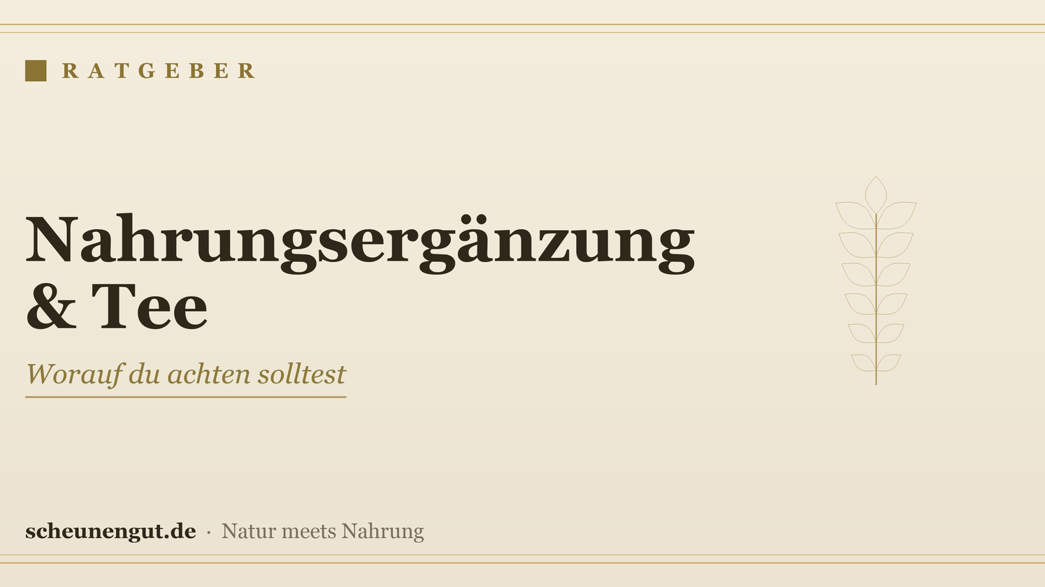 Nahrungsergänzung & Tee: was beachten? – Ratgeber von Scheunengut