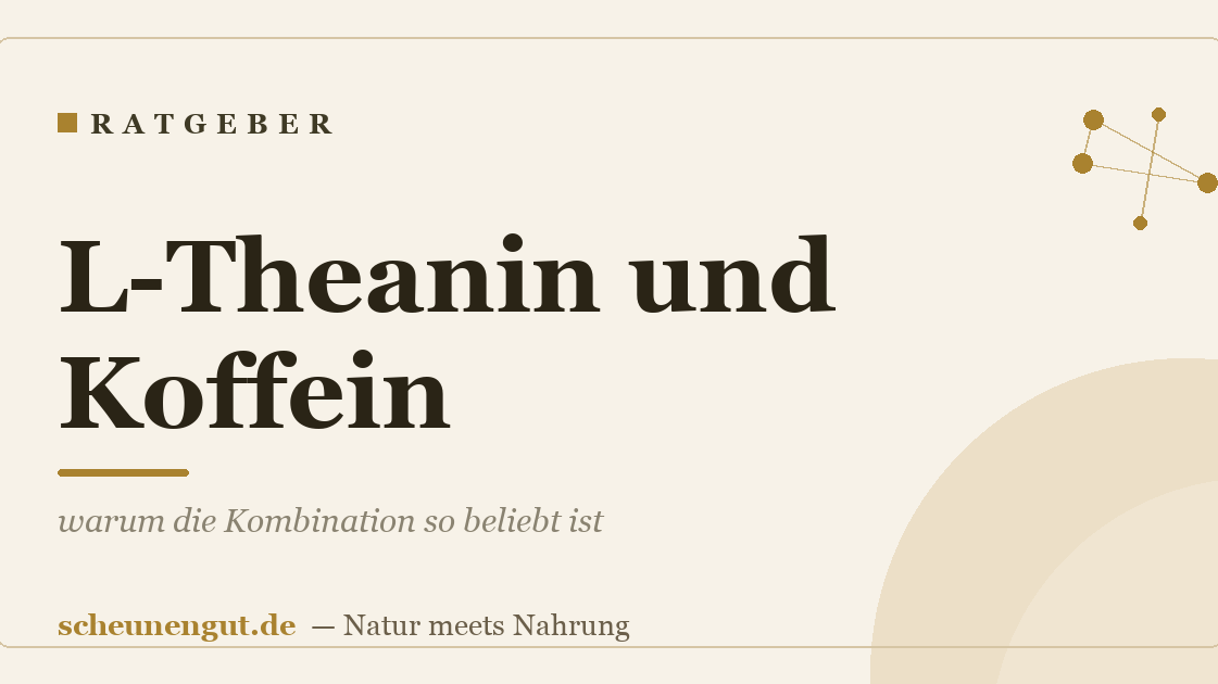 L-Theanin und Koffein: warum die Kombination so beliebt ist