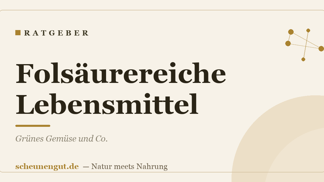 Folsäurereiche Lebensmittel: Grünes Gemüse und Co.
