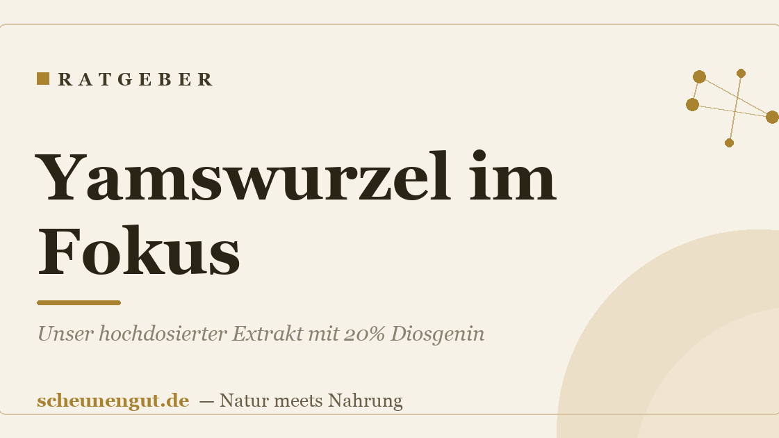Yamswurzel im Fokus: Unser hochdosierter Extrakt mit 20% Diosgenin
