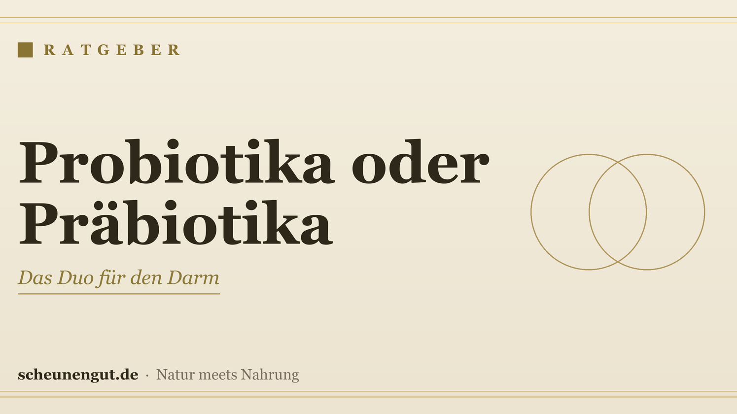Probiotika oder Präbiotika: Der Unterschied – Ratgeber von Scheunengut