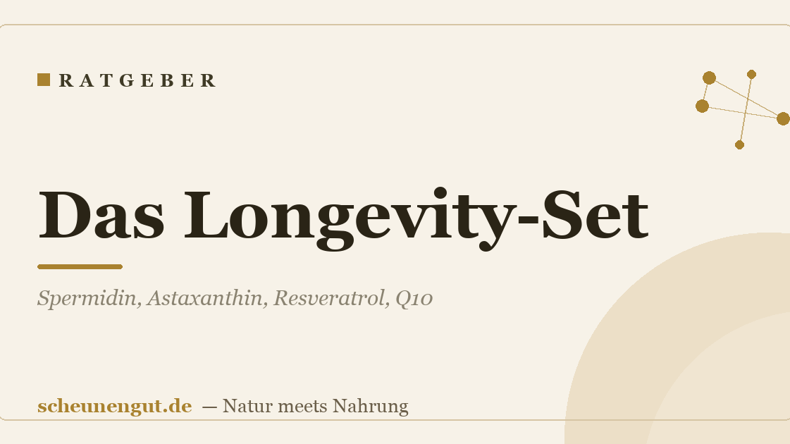 Das Longevity-Set: Spermidin, Astaxanthin, Resveratrol, Q10