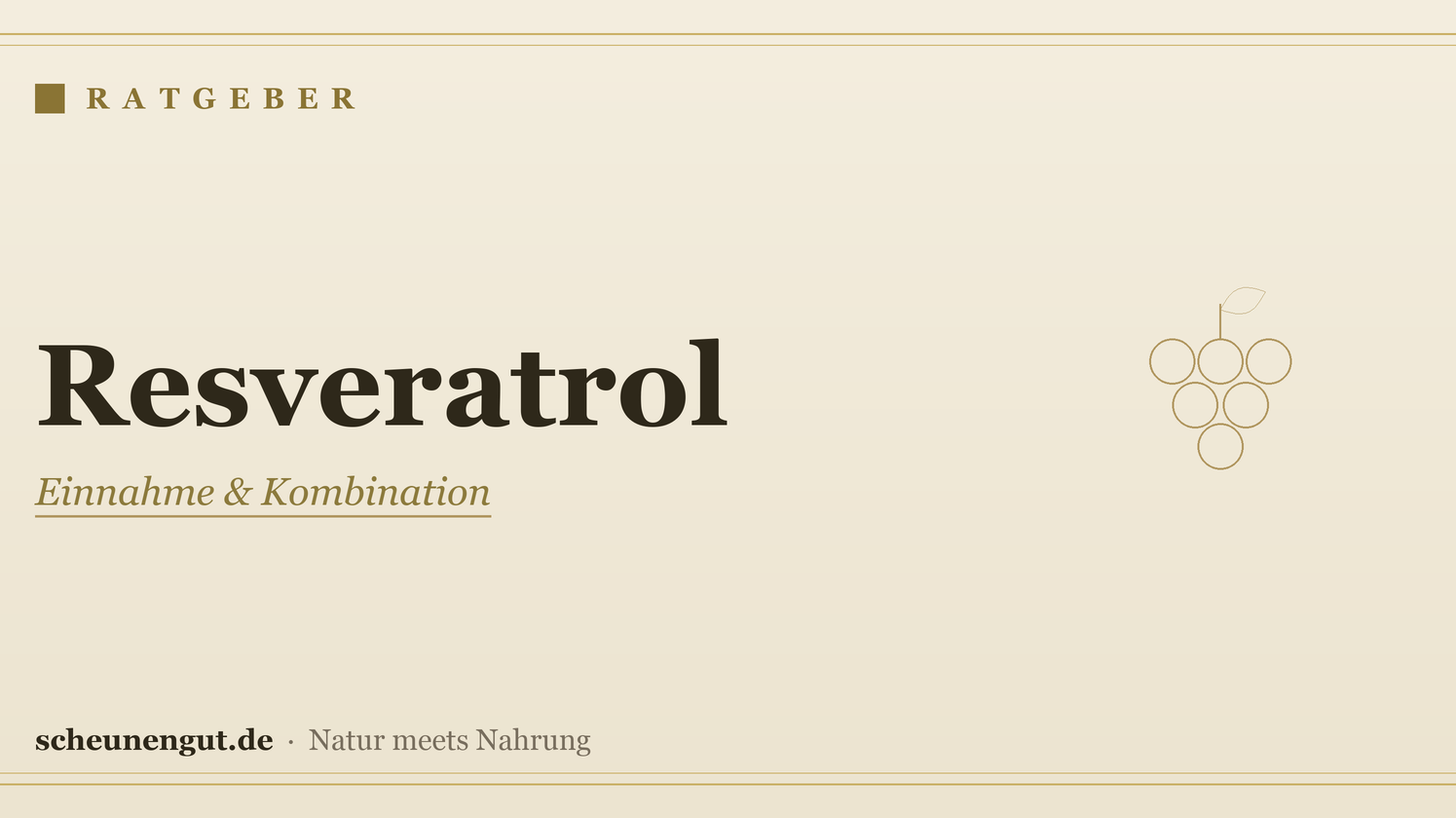 Resveratrol: Einnahme & Kombination – Ratgeber von Scheunengut