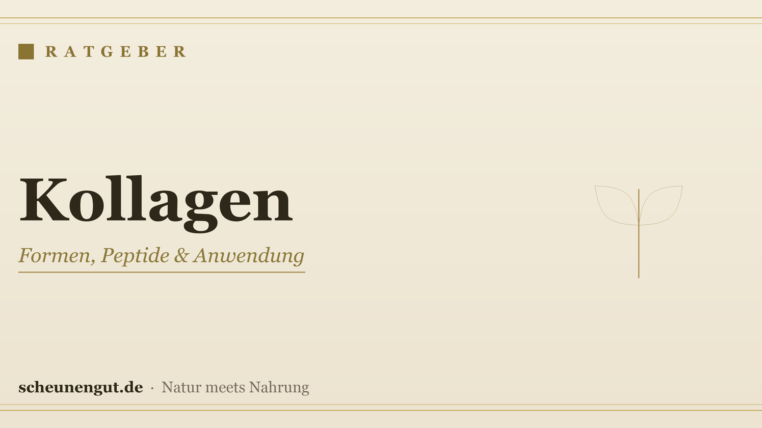 Kollagen: Formen, Peptide & Anwendung – Ratgeber von Scheunengut