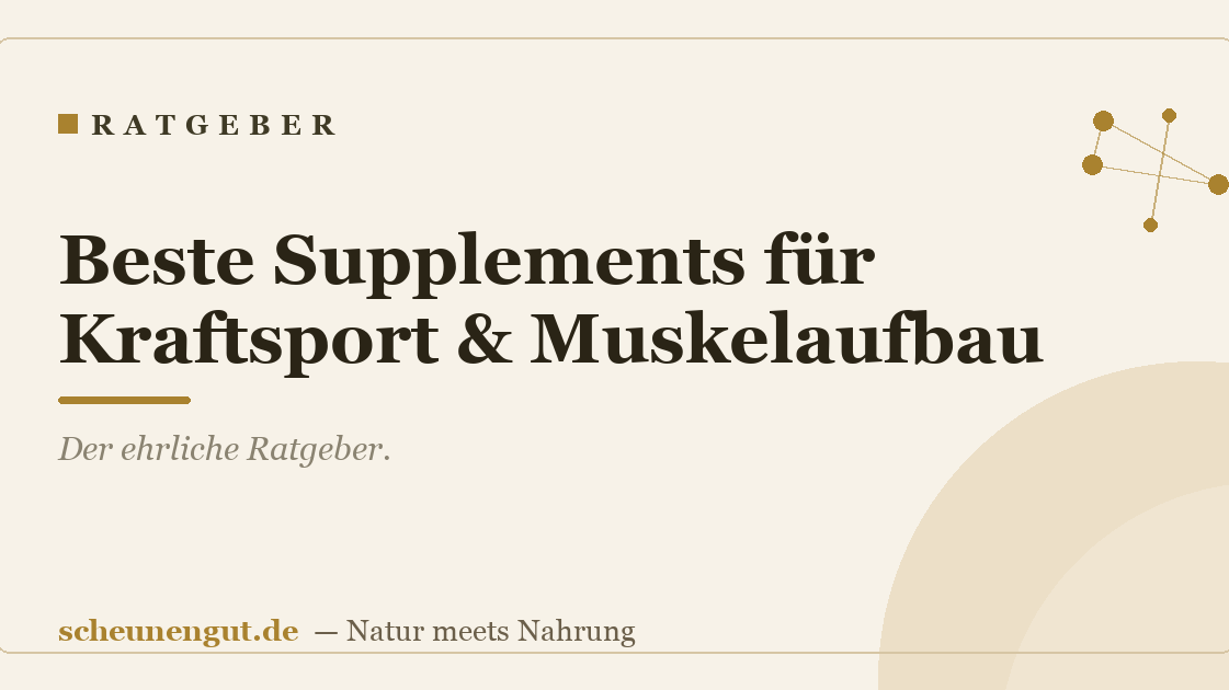 Beste Supplements für Kraftsport & Muskelaufbau