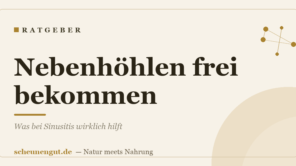 Nebenhöhlen frei bekommen: Was bei Sinusitis wirklich hilft
