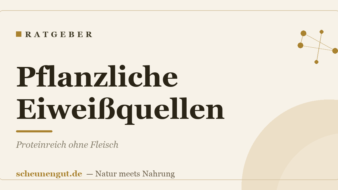 Pflanzliche Eiweißquellen: Proteinreich ohne Fleisch