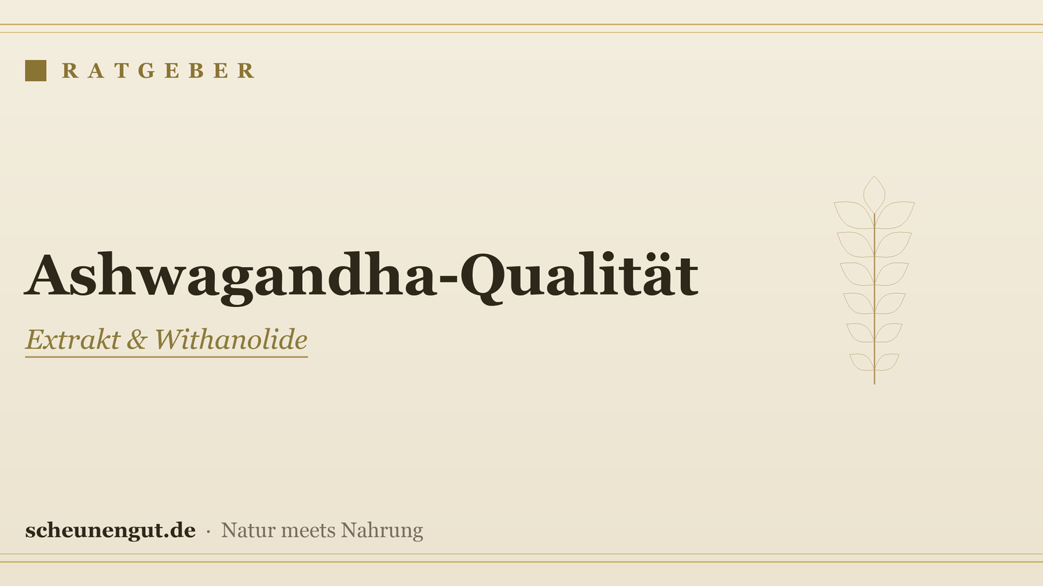 Ashwagandha-Qualität erkennen – Ratgeber von Scheunengut