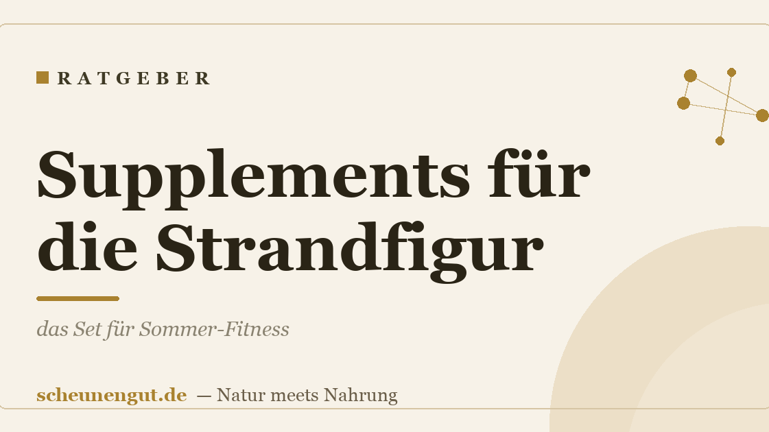 Supplements für die Strandfigur: das Set für Sommer-Fitness