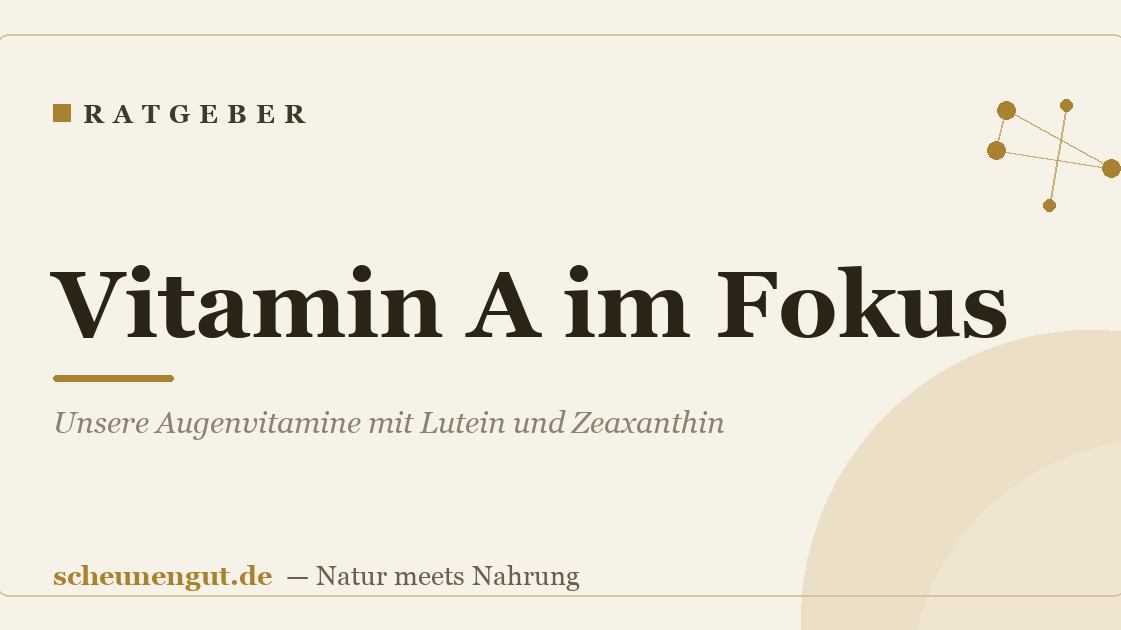 Vitamin A im Fokus: Unsere Augenvitamine mit Lutein und Zeaxanthin