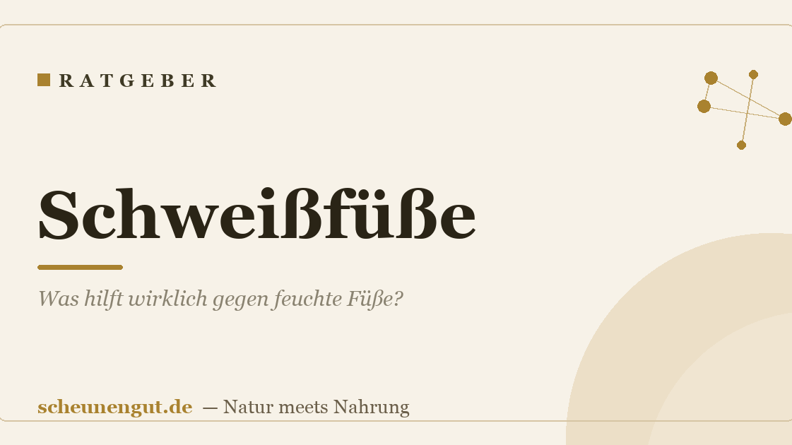 Schweißfüße: Was hilft wirklich gegen feuchte Füße?