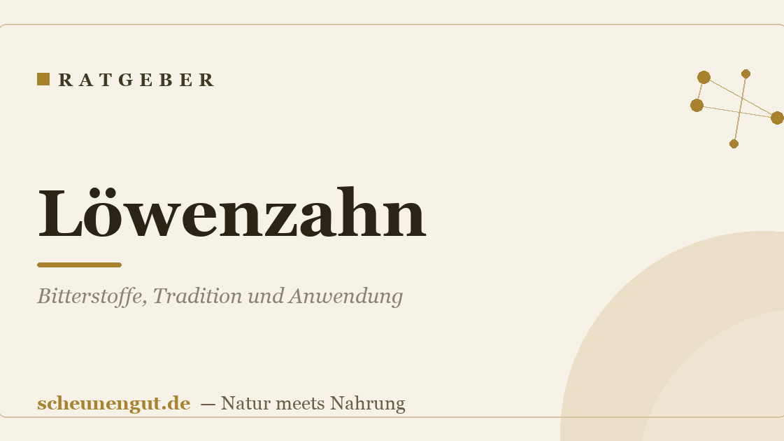 Löwenzahn: Bitterstoffe, Tradition und Anwendung