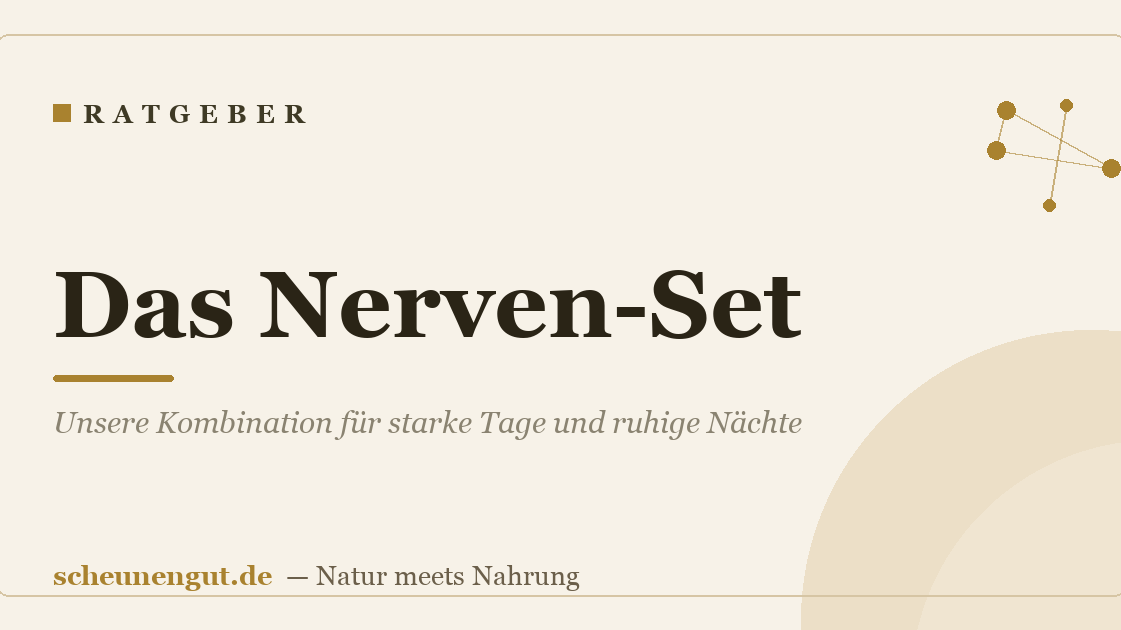 Das Nerven-Set: Unsere Kombination für starke Tage und ruhige Nächte
