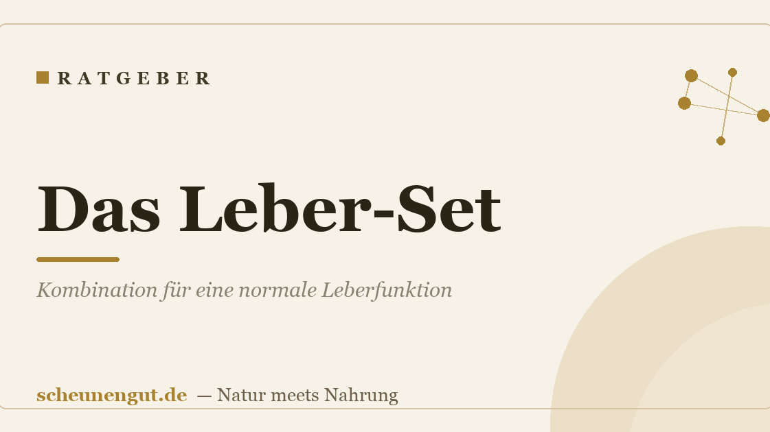 Das Leber-Set: Kombination für eine normale Leberfunktion
