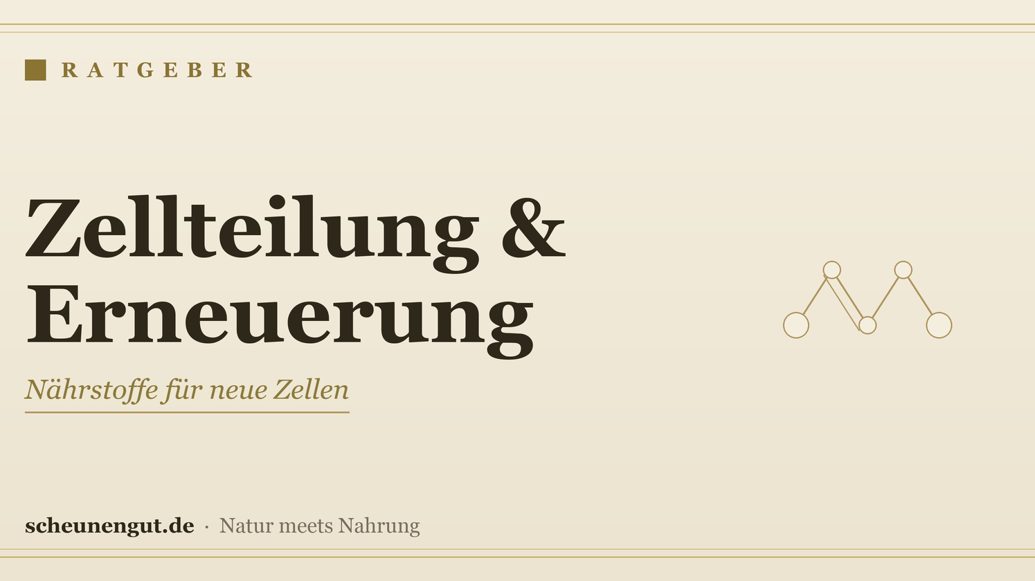 Nährstoffe für die Zellteilung und Zellerneuerung – Ratgeber von Scheunengut