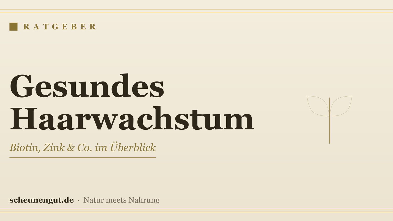 Nährstoffe für gesundes Haarwachstum – Ratgeber von Scheunengut