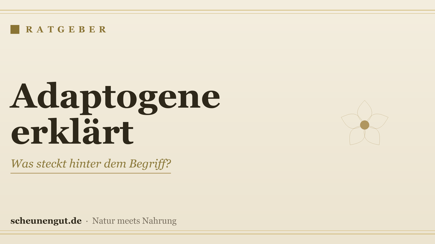 Adaptogene: Was steckt hinter dem Begriff? – Ratgeber von Scheunengut