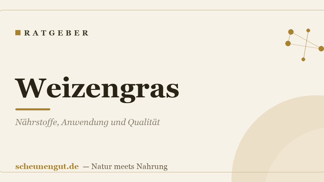 Weizengras: Nährstoffe, Anwendung und Qualität
