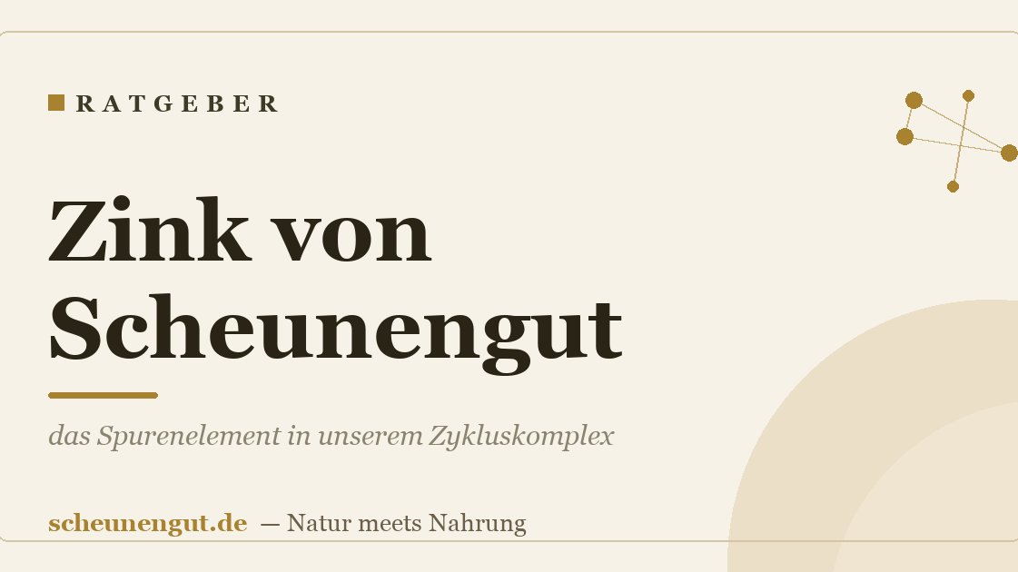 Zink von Scheunengut: das Spurenelement in unserem Zykluskomplex