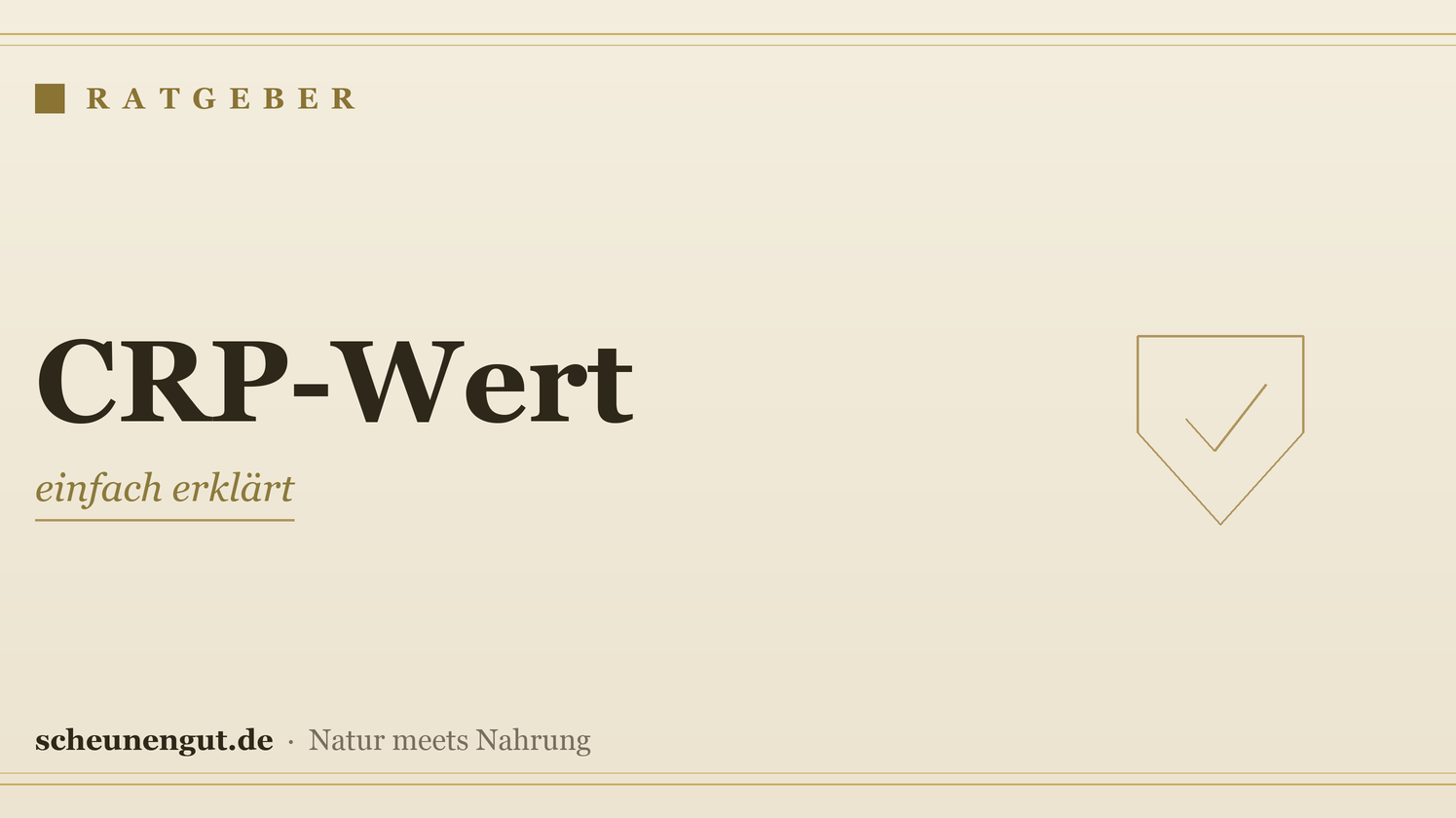 CRP-Wert: einfach erklärt