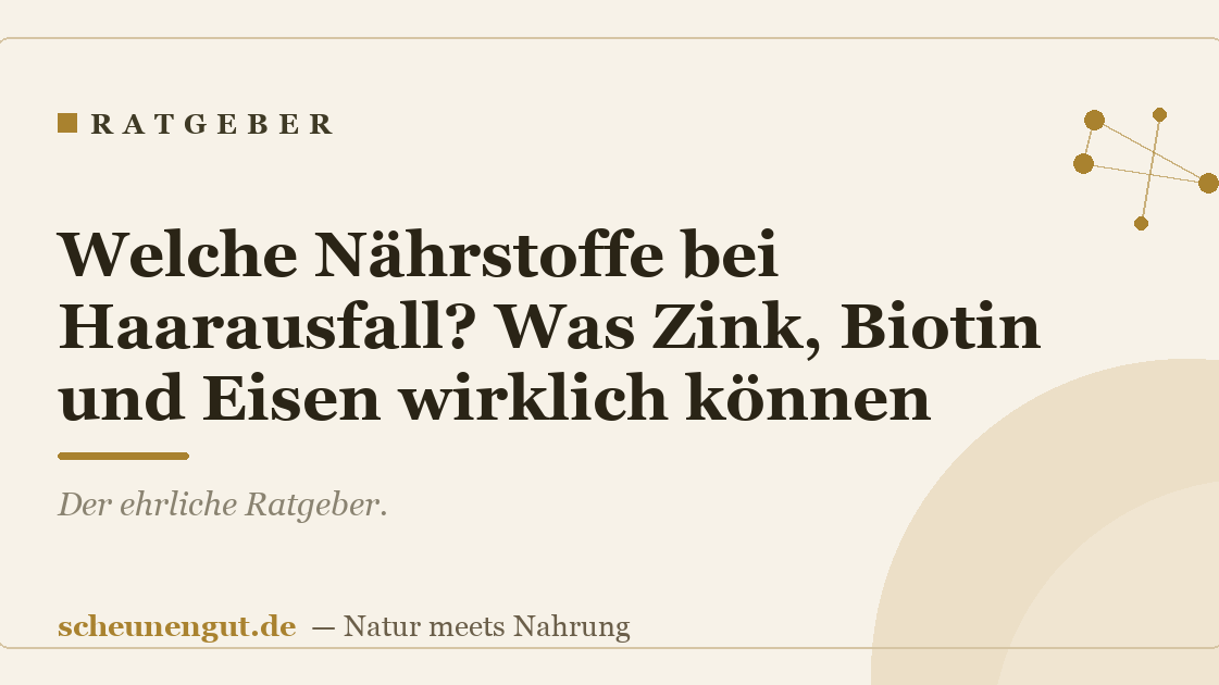 Welche Nährstoffe bei Haarausfall? Was Zink, Biotin und Eisen wirklich können