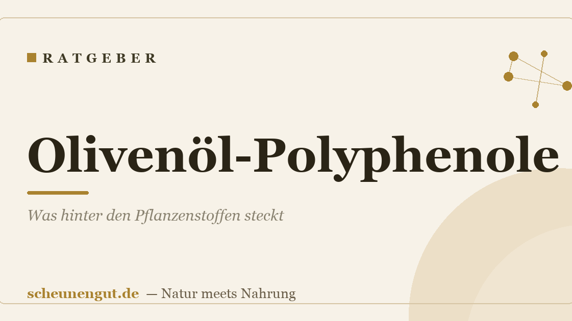 Olivenöl-Polyphenole: Was hinter den Pflanzenstoffen steckt