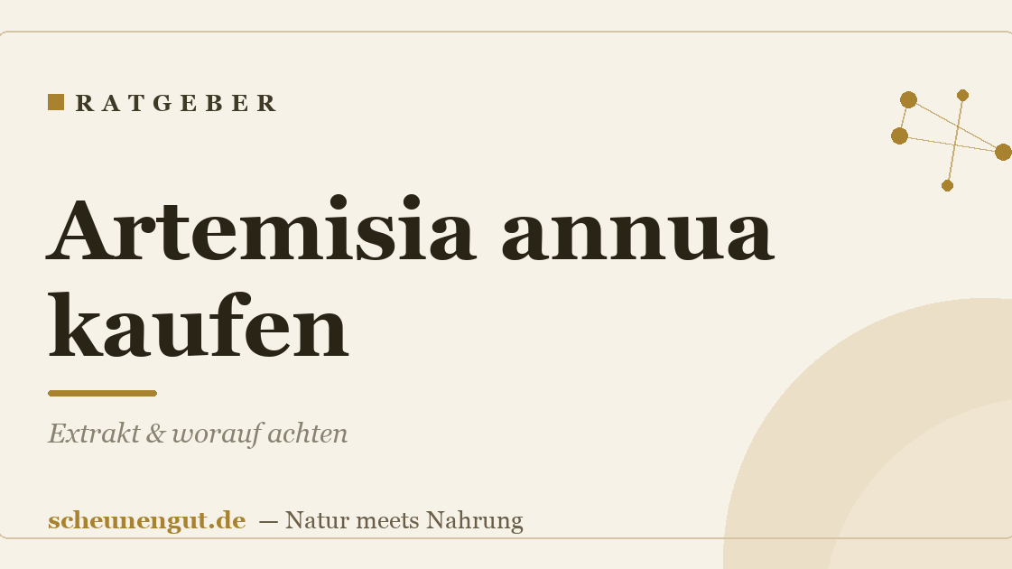 Artemisia annua kaufen: Extrakt & worauf achten
