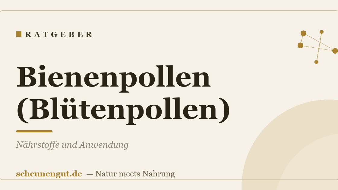 Bienenpollen (Blütenpollen): Nährstoffe und Anwendung