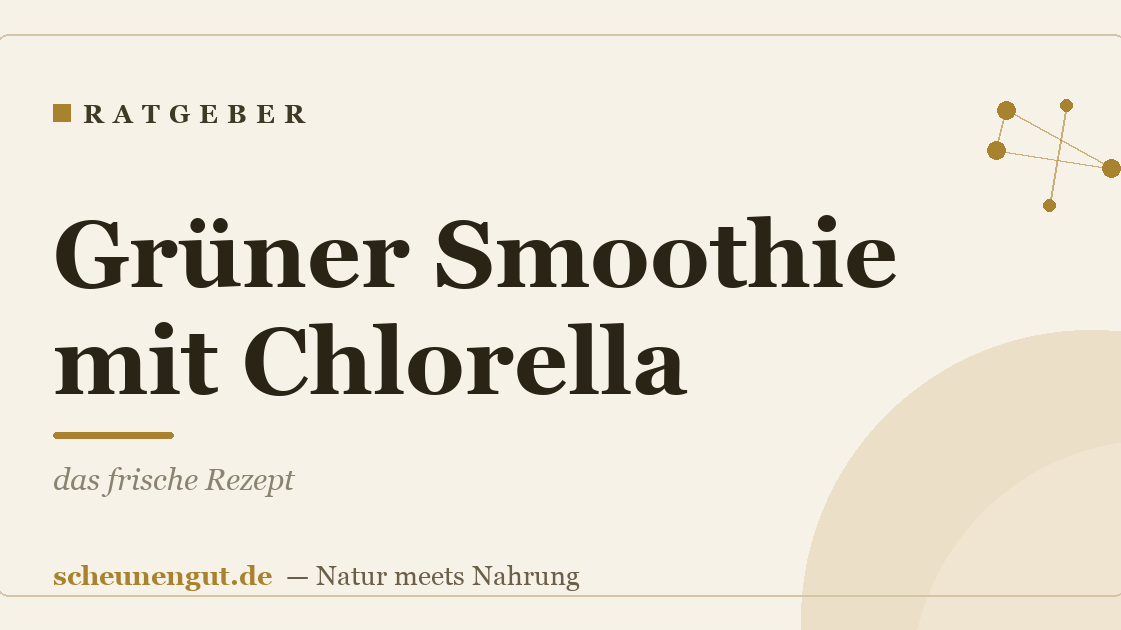 Grüner Smoothie mit Chlorella: das frische Rezept