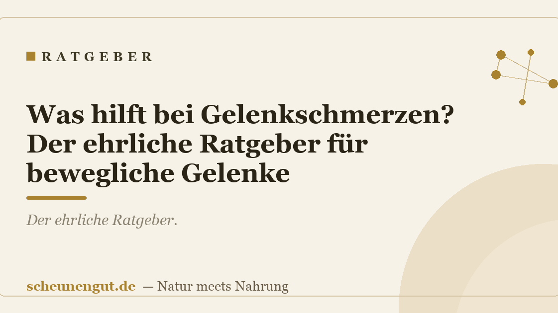 Was hilft bei Gelenkschmerzen? Der ehrliche Ratgeber für bewegliche Gelenke