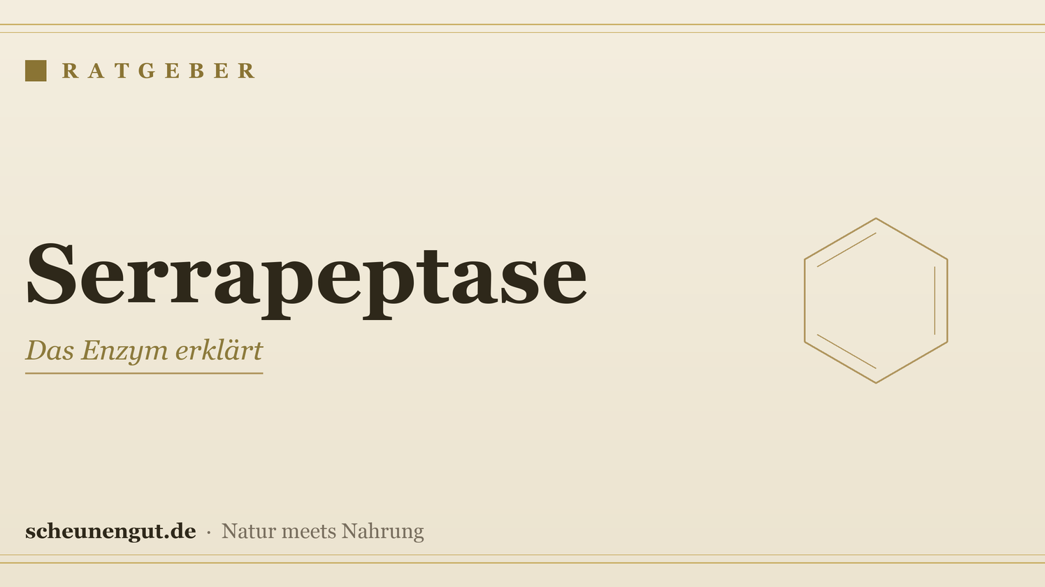 Serrapeptase: das Enzym erklärt – Ratgeber von Scheunengut