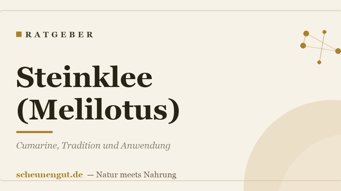 Steinklee (Melilotus): Cumarine, Tradition und Anwendung