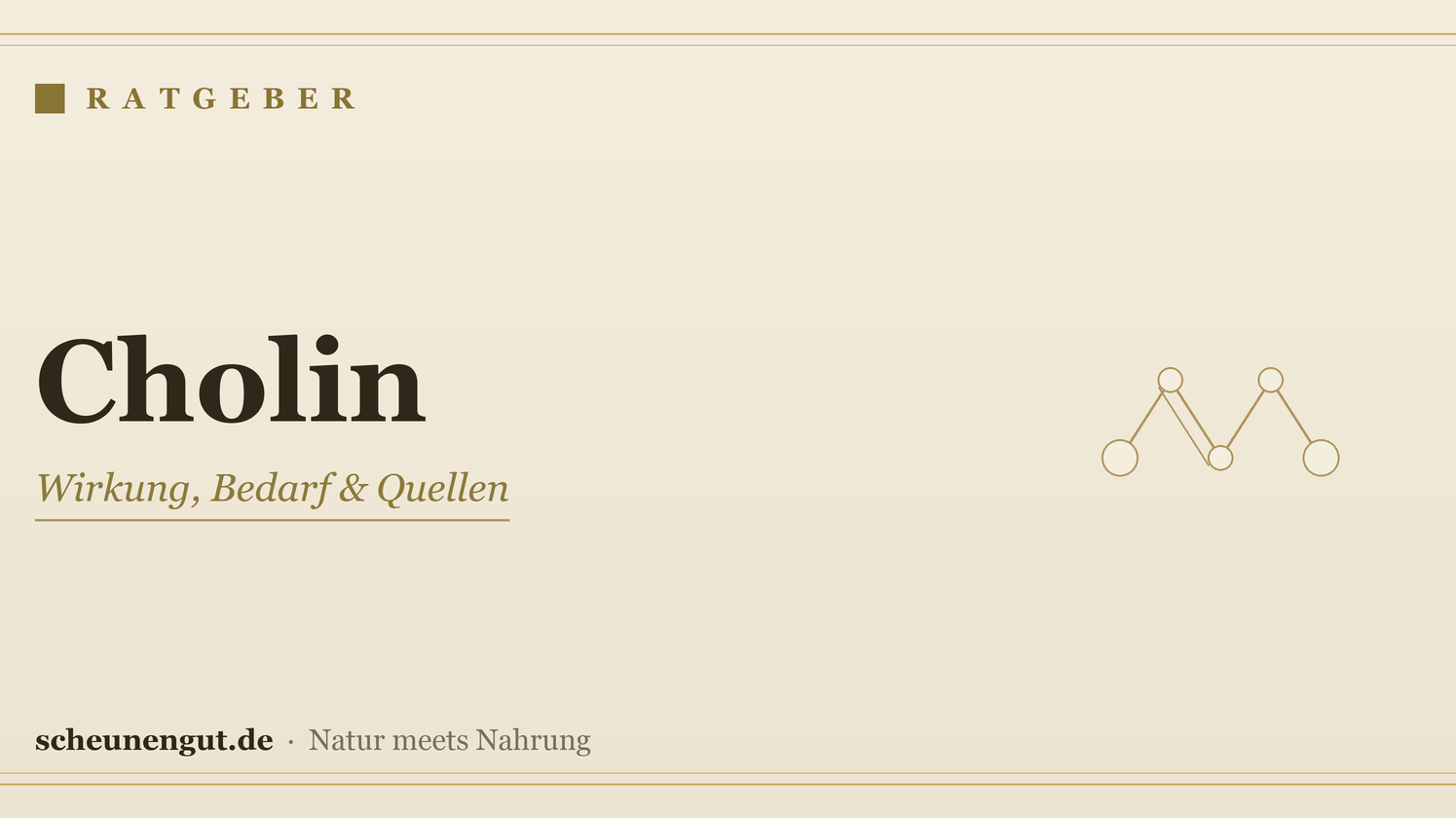 Cholin: Wirkung, Bedarf & Quellen – Ratgeber von Scheunengut
