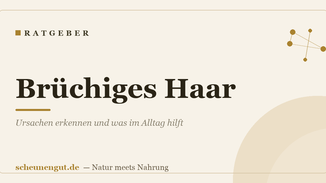 Brüchiges Haar: Ursachen erkennen und was im Alltag hilft