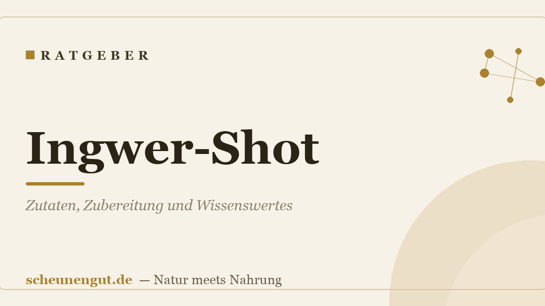 Ingwer-Shot: Zutaten, Zubereitung und Wissenswertes