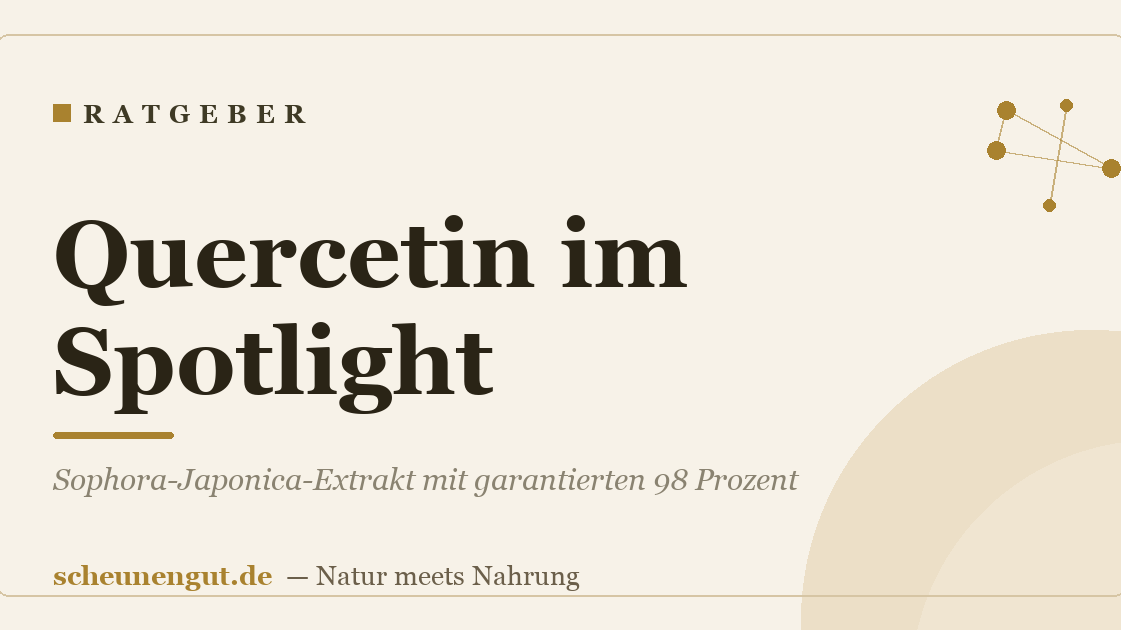 Quercetin im Spotlight: Sophora-Japonica-Extrakt mit garantierten 98 Prozent