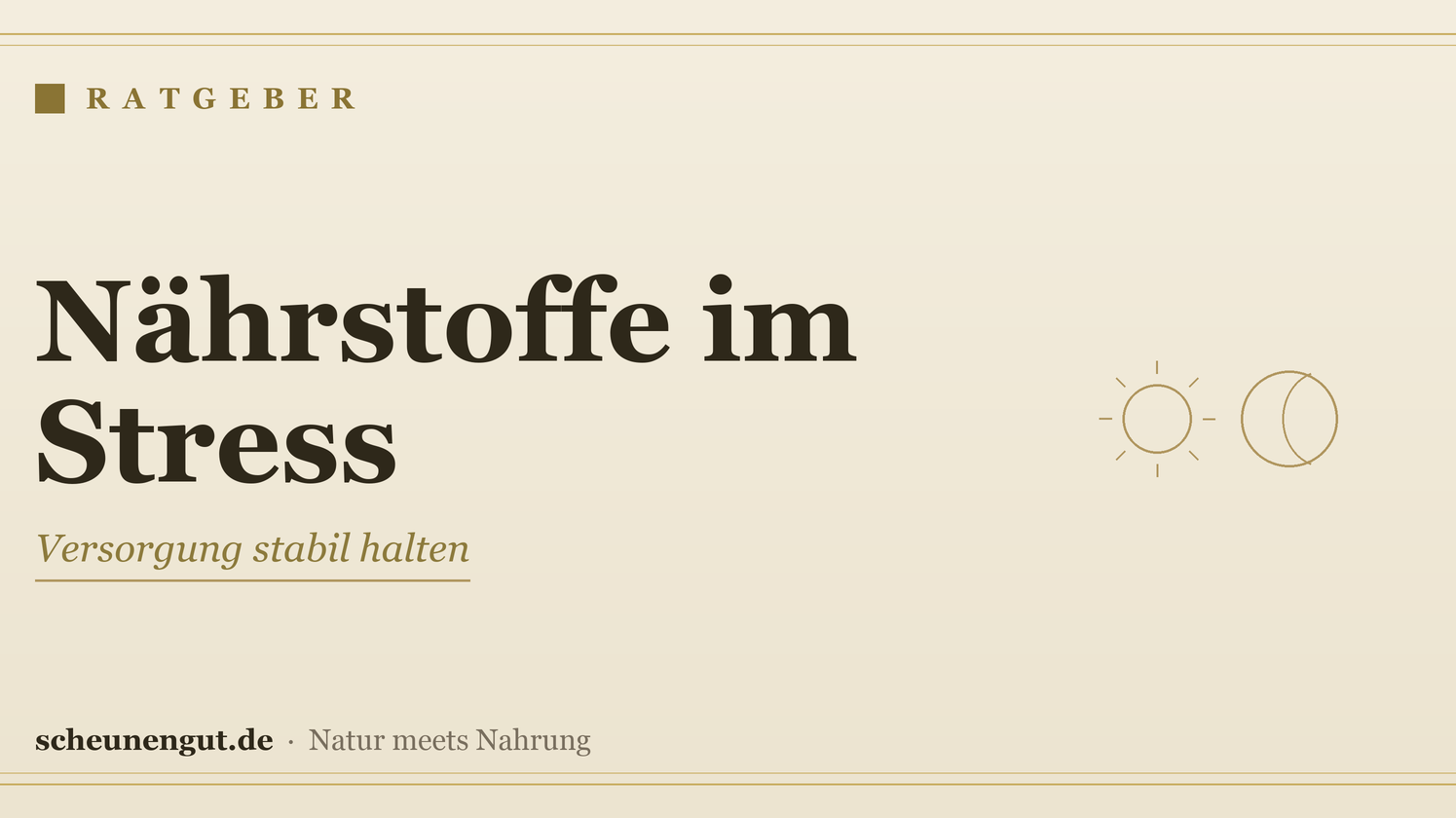 Nährstoffe im stressigen Alltag – Ratgeber von Scheunengut