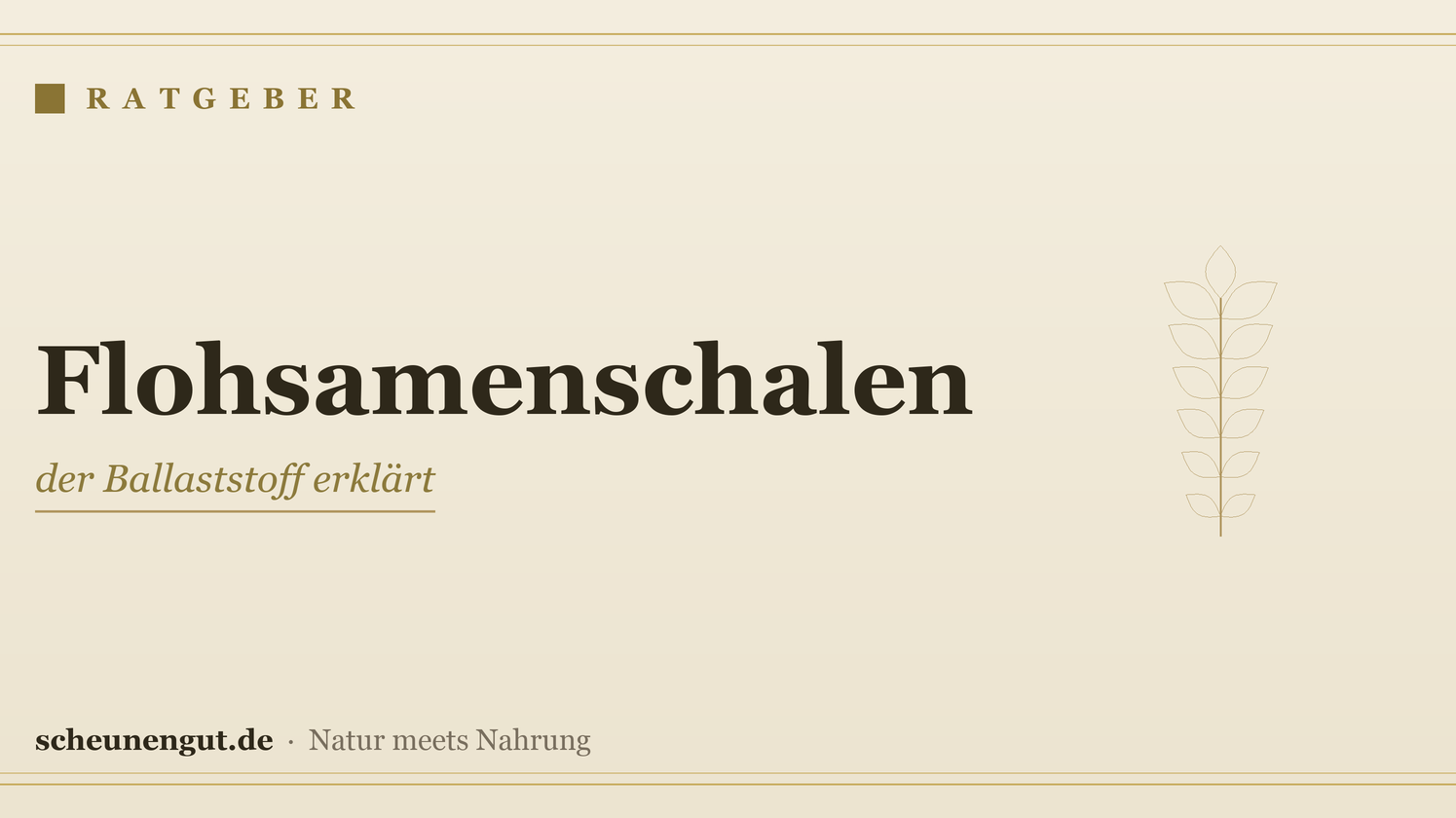 Flohsamenschalen: der Ballaststoff erklärt – Ratgeber von Scheunengut