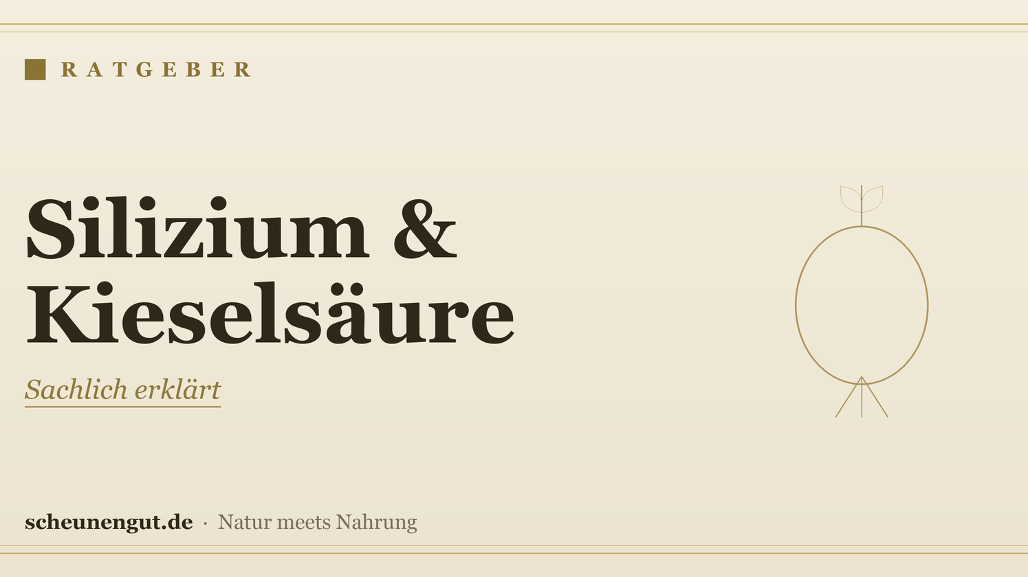 Silizium & Kieselsäure: sachlich erklärt – Ratgeber von Scheunengut