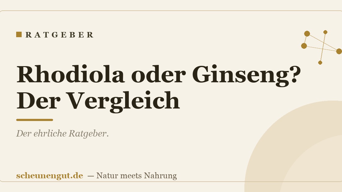 Rhodiola oder Ginseng? Der Vergleich